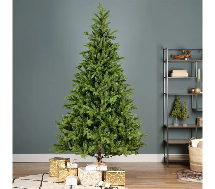 180cm Allison Pine