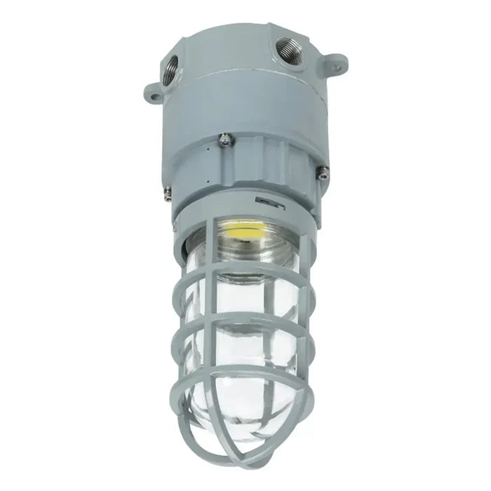 30W LED Explosion Proof Jelly Jar Light O Series For Gas Station