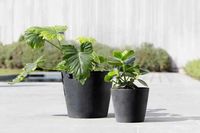 Amsterdam Small Round Planter - 11.8 in x 11.8 in x 10.5 in - Dark Grey - Dark Grey,11.75 in x 11.75 in x 10.5 in,Planter Only