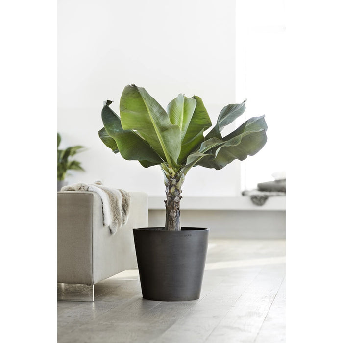 Amsterdam Small Round Planter - 15.8 in x 15.8 in x 13.8 in - Dark Grey - Dark Grey,15.75 in x 15.75 in x 13.75 in,Planter Only
