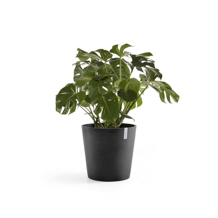 Amsterdam Small Round Planter - 19.8 in x 19.8 in x 17.3 in - Dark Grey - Dark Grey,19.75 in x 19.75 in x 17.25 in,Planter Only