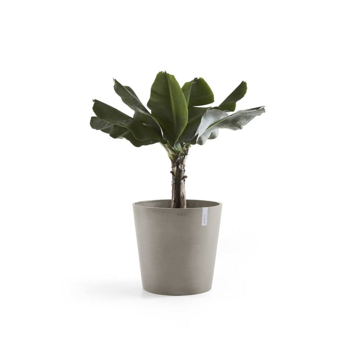 Amsterdam Small Round Planter - 19.8 in x 19.8 in x 17.3 in - Taupe - Taupe,19.75 in x 19.75 in x 17.25 in,Planter Only