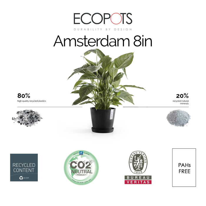 Amsterdam Small Round Planter - 8 in x 8 in x 7 in - Dark Grey - Dark Grey,8 in x 8 in x 7 in,Planter Only