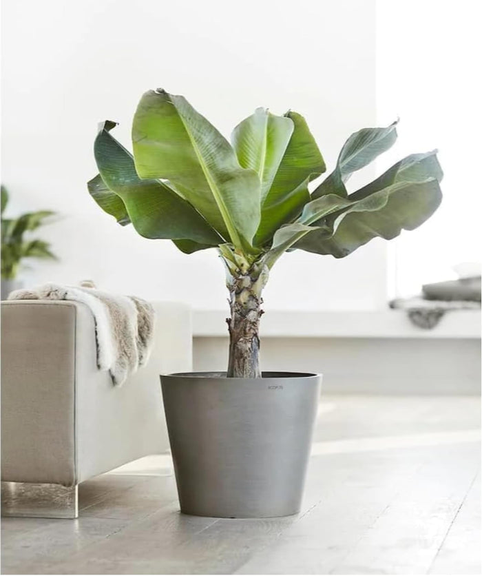 Amsterdam Small Round Planter - 8 in x 8 in x 7 in - Grey - Grey,8 in x 8 in x 7 in,Planter Only
