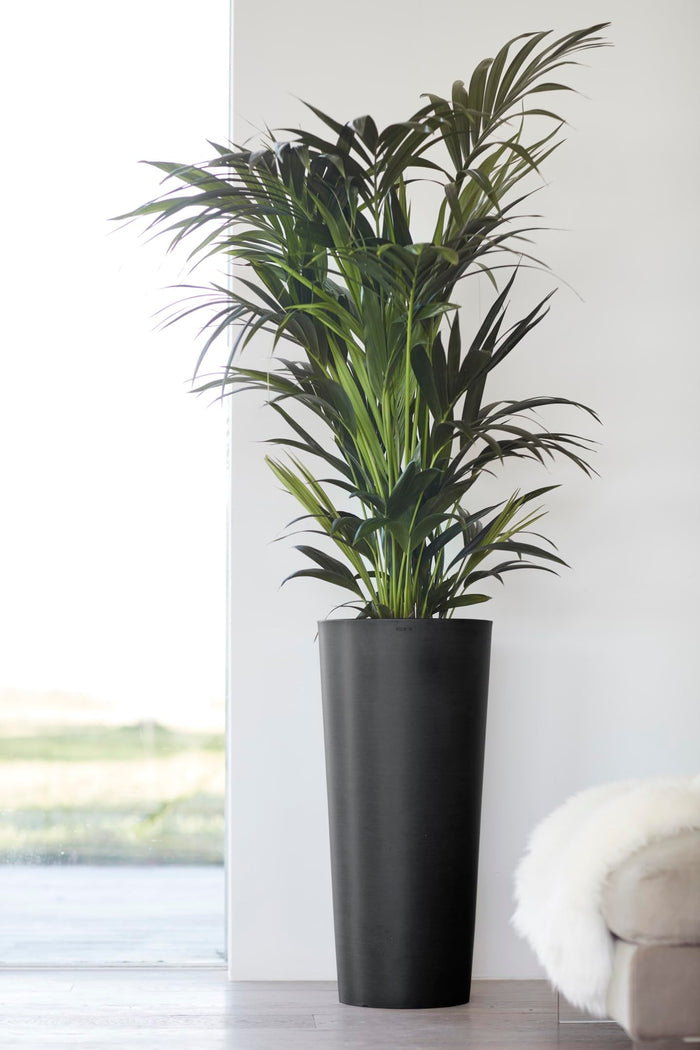 Amsterdam Mid High Medium Tall Round Planter - 13.5 in x 13.5 in x 26 in - Dark Grey - Dark Grey,13.5 in x 13.5 in x 26 in,Planter Only