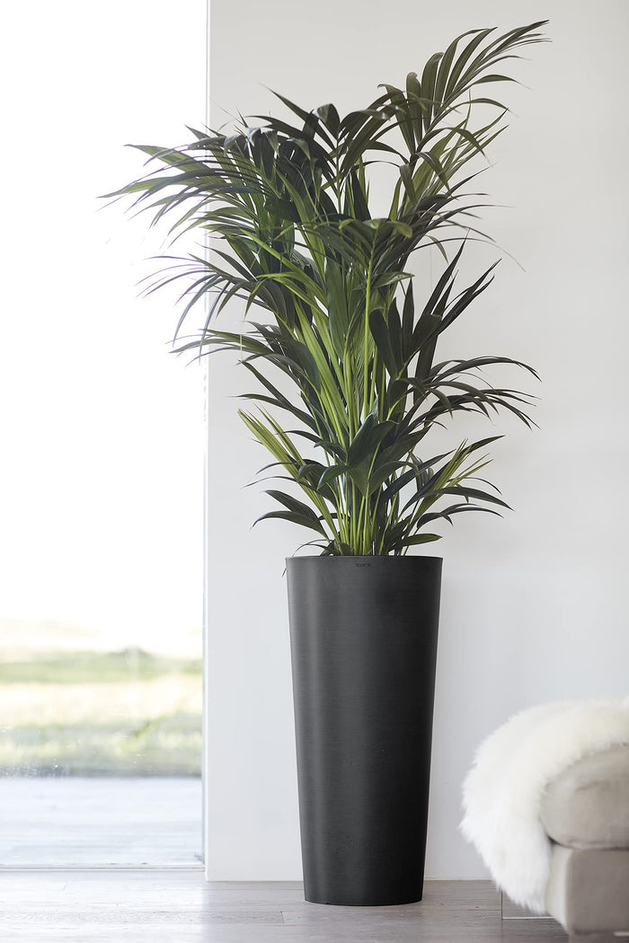 Amsterdam High Medium Tall Round Planter - 16 in x 16.25 in x 30 in - Dark Grey - Dark Grey,16 in x 16.25 in x 30 in,Planter Only
