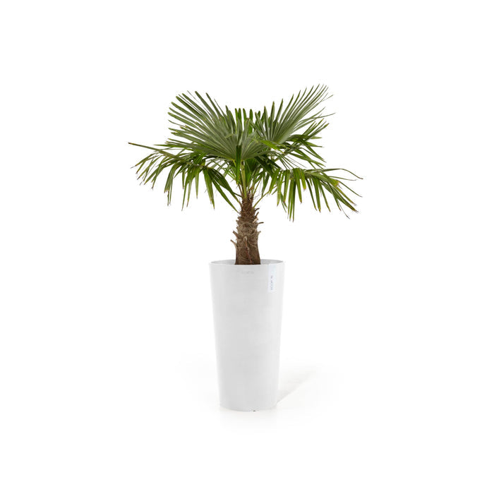 Amsterdam High Large Round Planter - 16 in x 16.25 in x 30 in - Pure White - Pure White,16 in x 16.25 in x 30 in,Planter Only