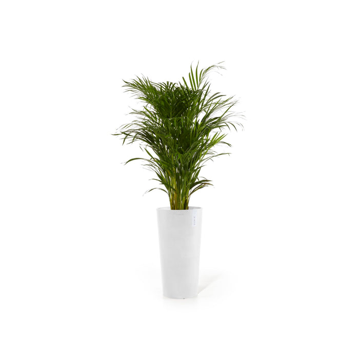Amsterdam High Large Round Planter - 16 in x 16.25 in x 30 in - Pure White - Pure White,16 in x 16.25 in x 30 in,Planter Only