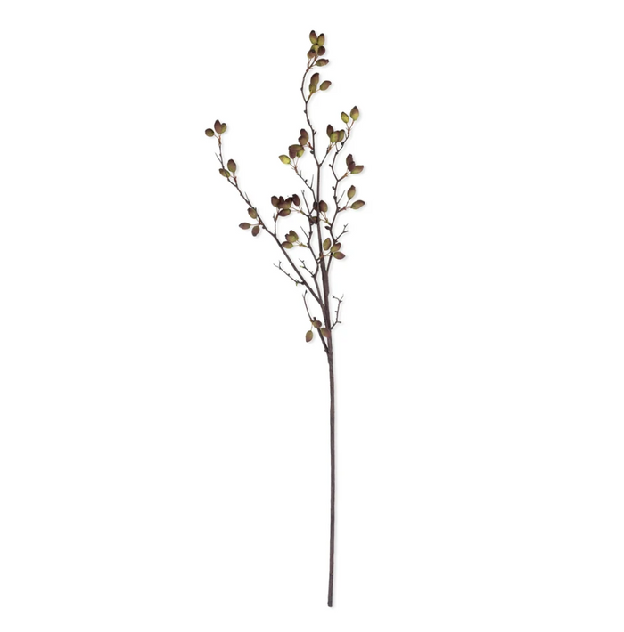 ARTIFICIAL BARBERRY