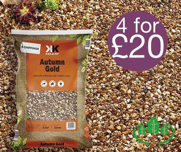 Autumn Gold - Chippings