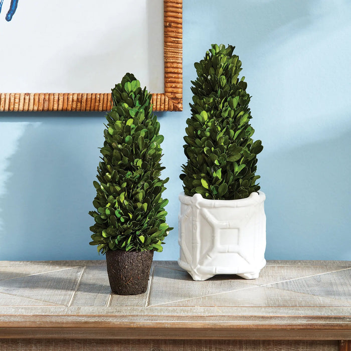 BOXWOOD CONE TOPIARY DROP-IN 12" Villa Decor & Design