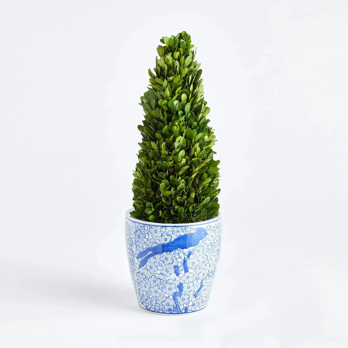 BOXWOOD CONE TOPIARY DROP-IN 16" Villa Decor & Design