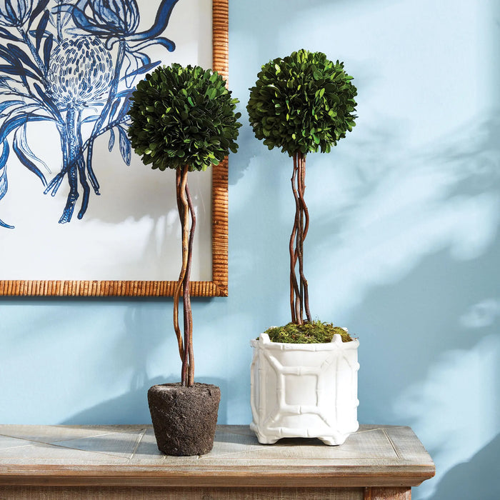 BOXWOOD SINGLE SPHERE TOPIARY DROP-IN 24" Villa Decor & Design