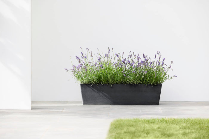 Bruges Large Rectangle Planter - 31.5 in x 8 in x 8 in - Dark Grey - Dark Grey,31.5 in x 8 in x 8 in