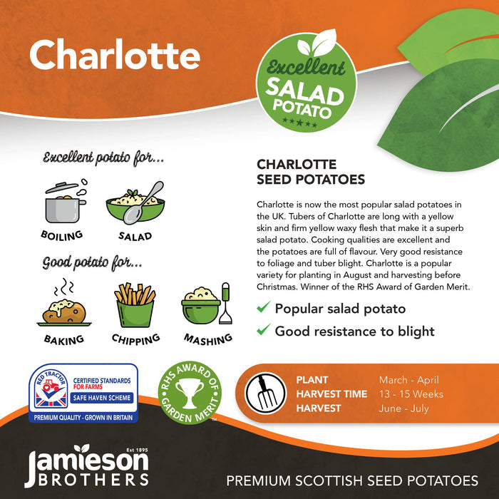 Charlotte 2Kg