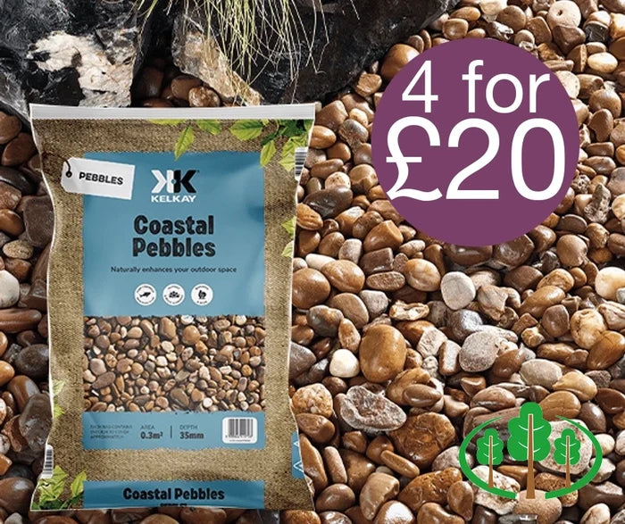 Coastal Pebbles