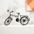 Decorative cycle Nan Item with Elegant Black Accent Piece