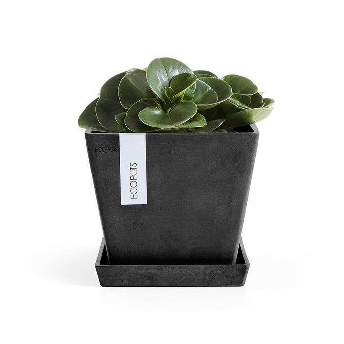 Small Square Saucer - 14 in x 14 in x 1.5 in - Dark Grey - Dark Grey,14 in x 14 in x 1.5 in