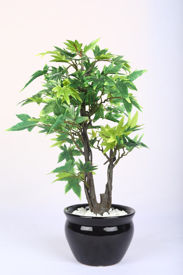 Expobazaar Artificial Bonsai Tree for Elegant Table Decor