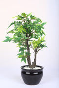 Expobazaar Artificial Bonsai Tree for Elegant Table Decor