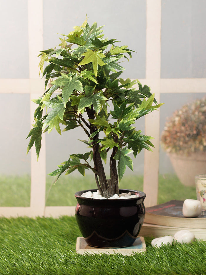 Expobazaar Artificial Bonsai Tree for Elegant Table Decor
