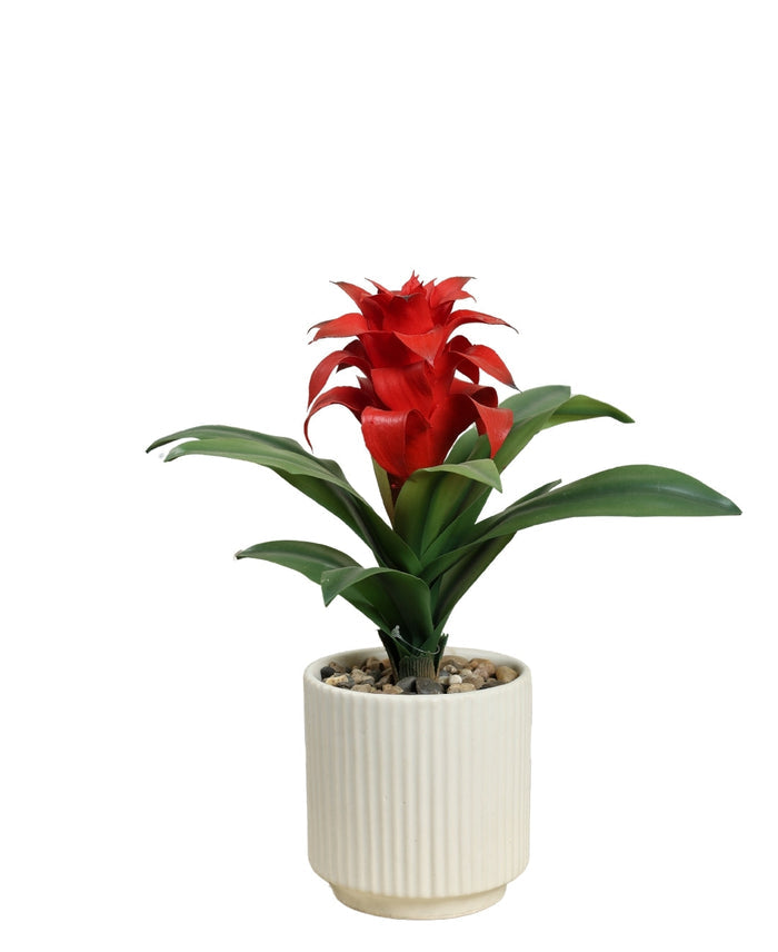 Expobazaar Artificial Bromeliad Flower Bonsai for Elegant Decor