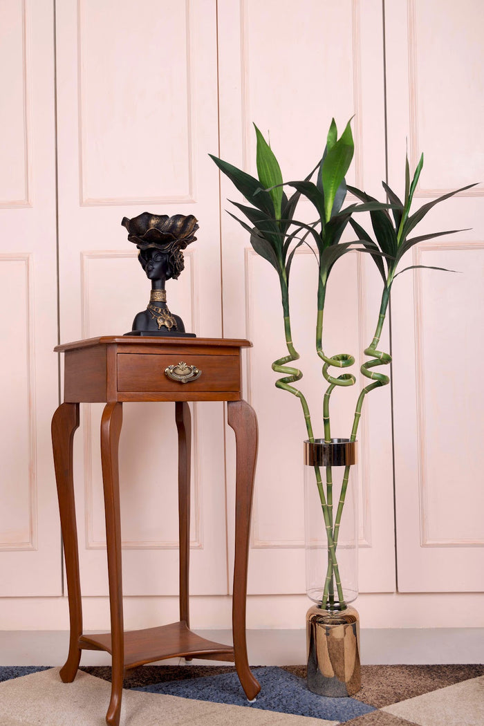 Expobazaar Elegant Spiral Lucky Bamboo Stick