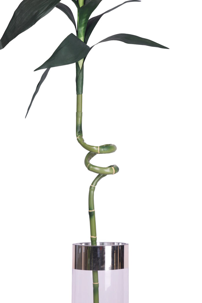 Expobazaar Elegant Spiral Lucky Bamboo Stick