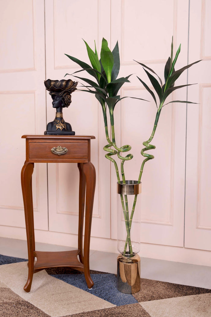 Expobazaar Elegant Spiral Lucky Bamboo Stick