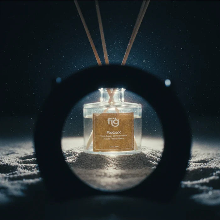 Expobazaar Relax Apple and Cinnamon Reed Diffuser