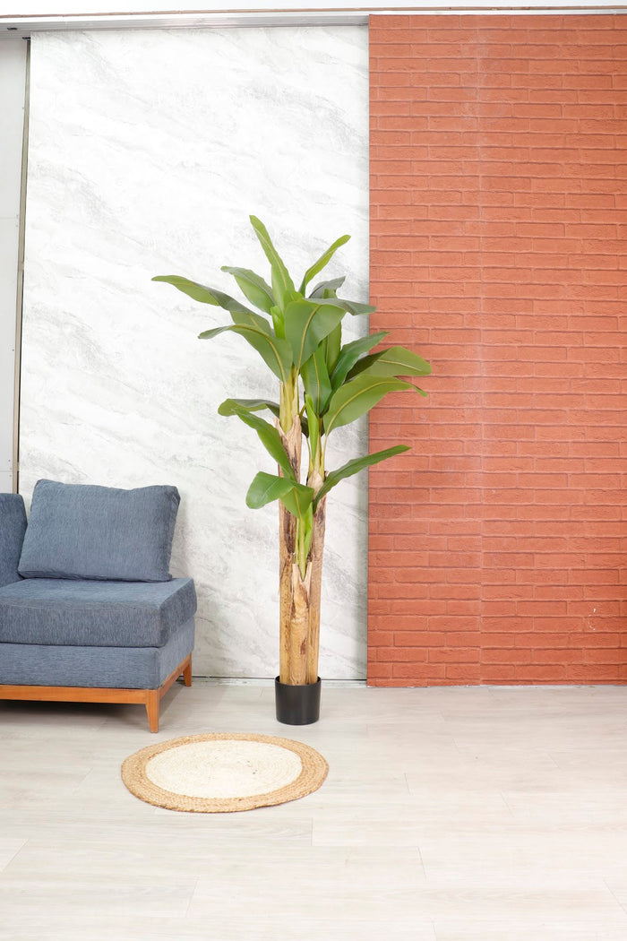 Expobazaar Tall Tropical Banana Plant for Elegant Interiors With Pot