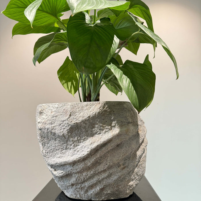 Nature's Canvas: Organic Stone Planters Elevating Indoor & Outdoor Spaces - JART TEAM