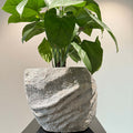 Nature's Canvas: Organic Stone Planters Elevating Indoor & Outdoor Spaces - JART TEAM