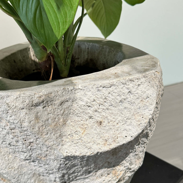 Nature's Canvas: Organic Stone Planters Elevating Indoor & Outdoor Spaces - JART TEAM