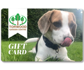 Gift Card - Doggy Afternoon Tea