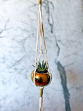 Golden planter with succulent suspended in cotton rope hanger, exuding elegance and peace against a serene marble backdrop.