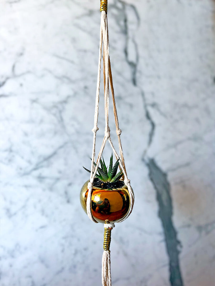 Golden planter with succulent suspended in cotton rope hanger, exuding elegance and peace against a serene marble backdrop.