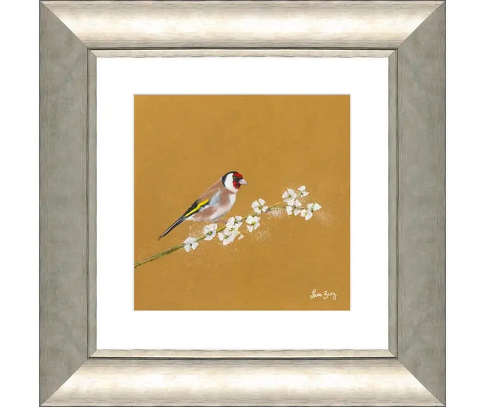 'Goldfinch' By Laure Bury