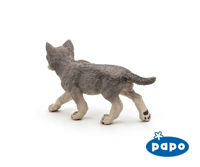 Grey Wolf Cub