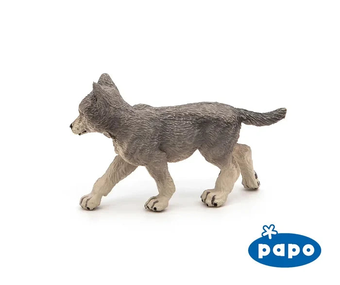 Grey Wolf Cub
