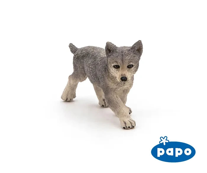 Grey Wolf Cub