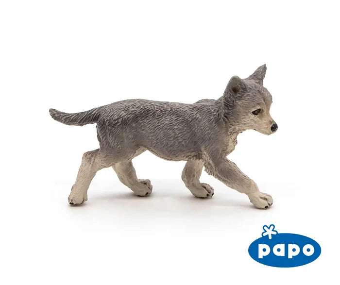 Grey Wolf Cub