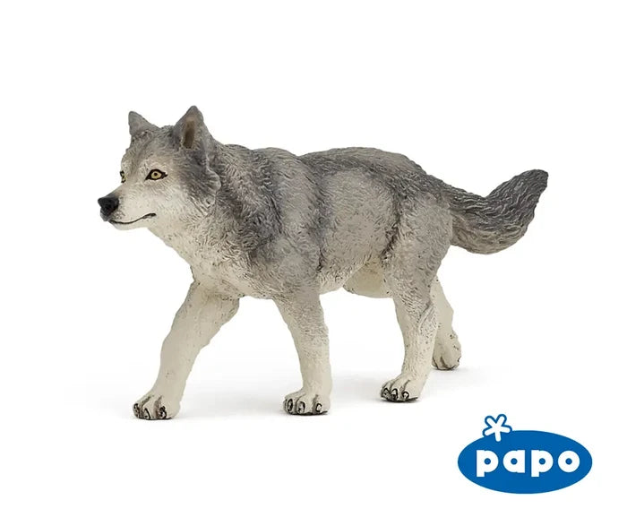 Grey Wolf