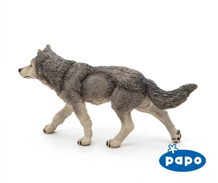 Grey Wolf