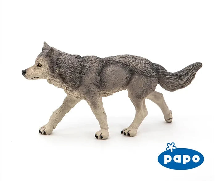Grey Wolf