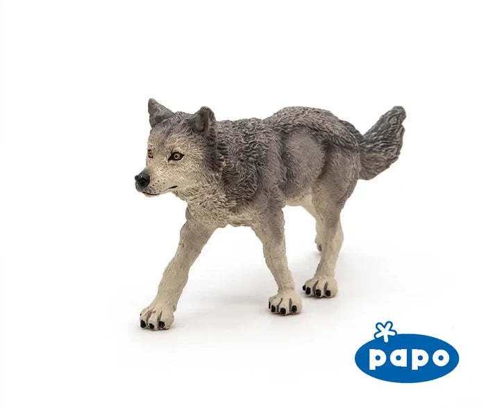 Grey Wolf