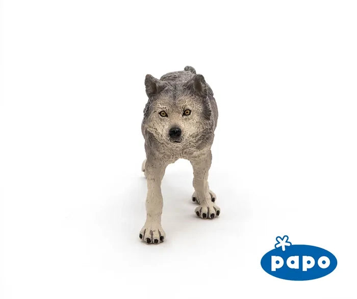 Grey Wolf