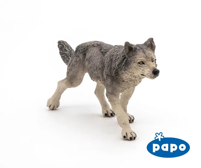 Grey Wolf