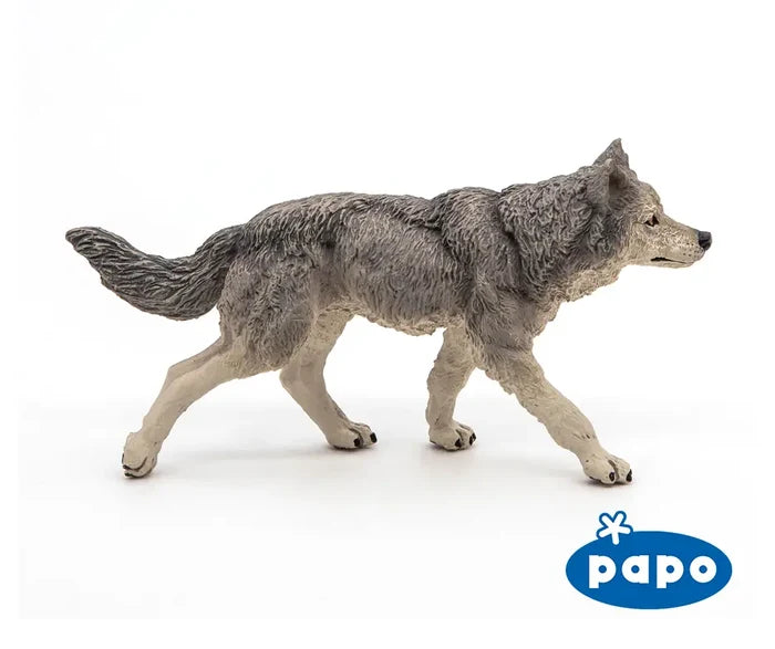 Grey Wolf
