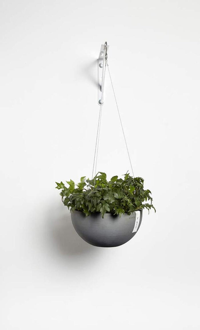 Hanging Brussels Small Bowl Planter - 10.5 in x 10.5 in x 5 in - Grey - Grey,10.5 in x 10.5 in x 5 in